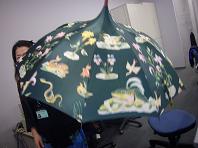 こんな傘.JPG