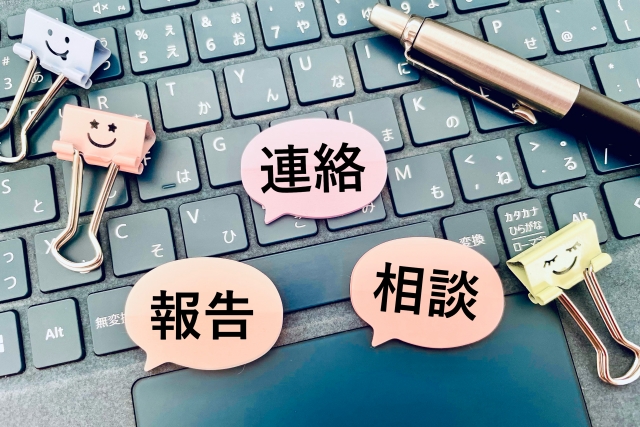 実施報告・コラム