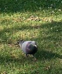 IMG_0362.jpg
