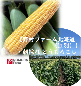 toubkibiタイトルなし.png