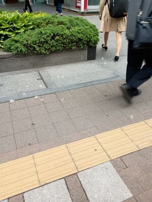 807018_n.jpg