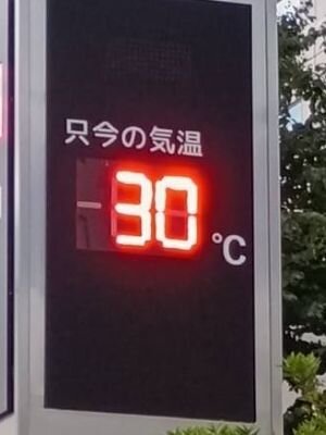 _8067463806218826185_n.jpg