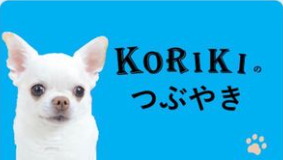 korikino.png