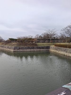 -五稜郭公園.JPG